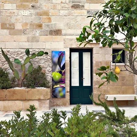 Relais Masseria Capasa Villa *